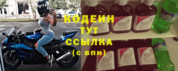 молекула духа Дмитриев